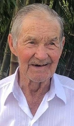 ALCIDES SPAGIARI