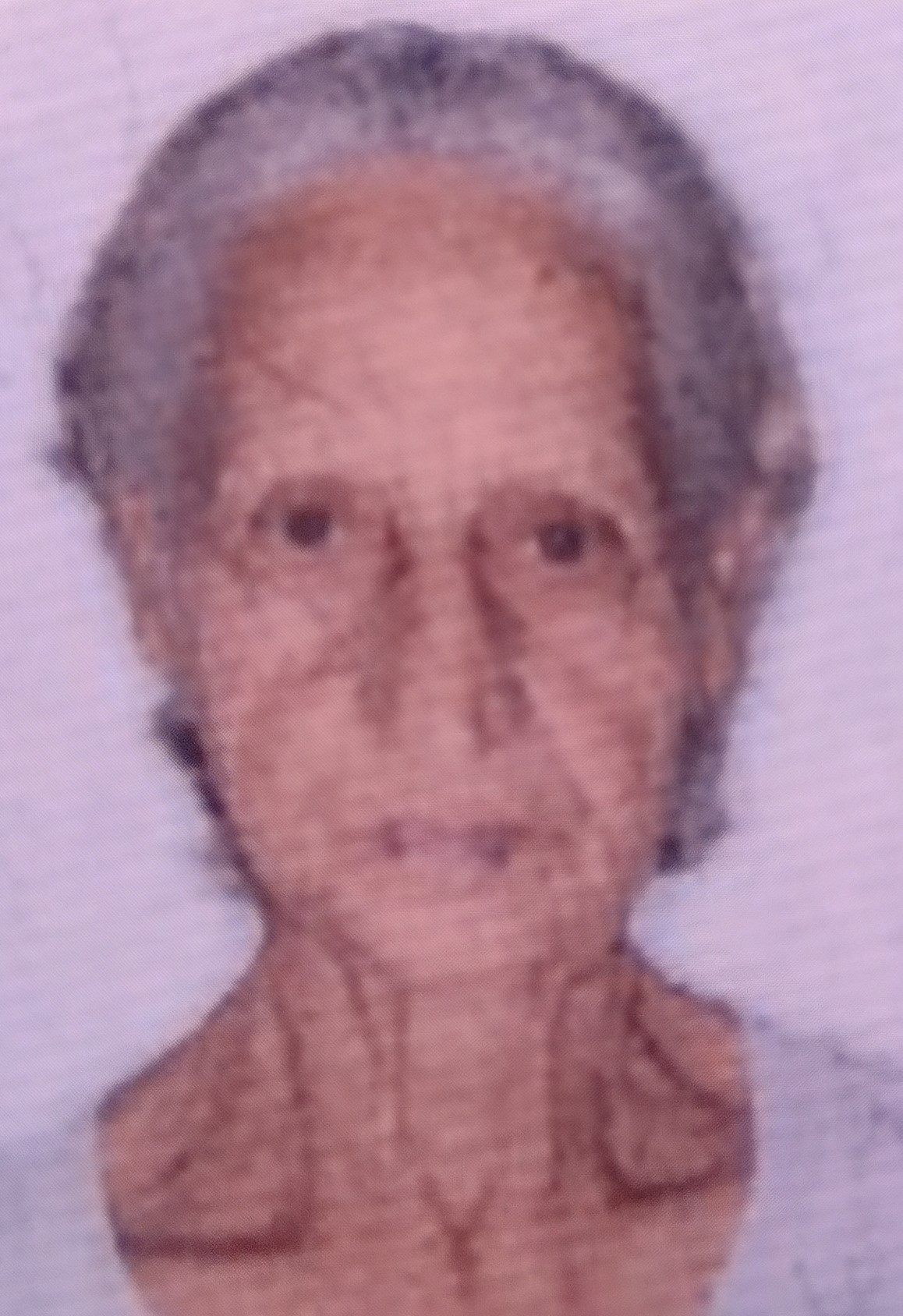 DIRCE BERTAZI ROMANO