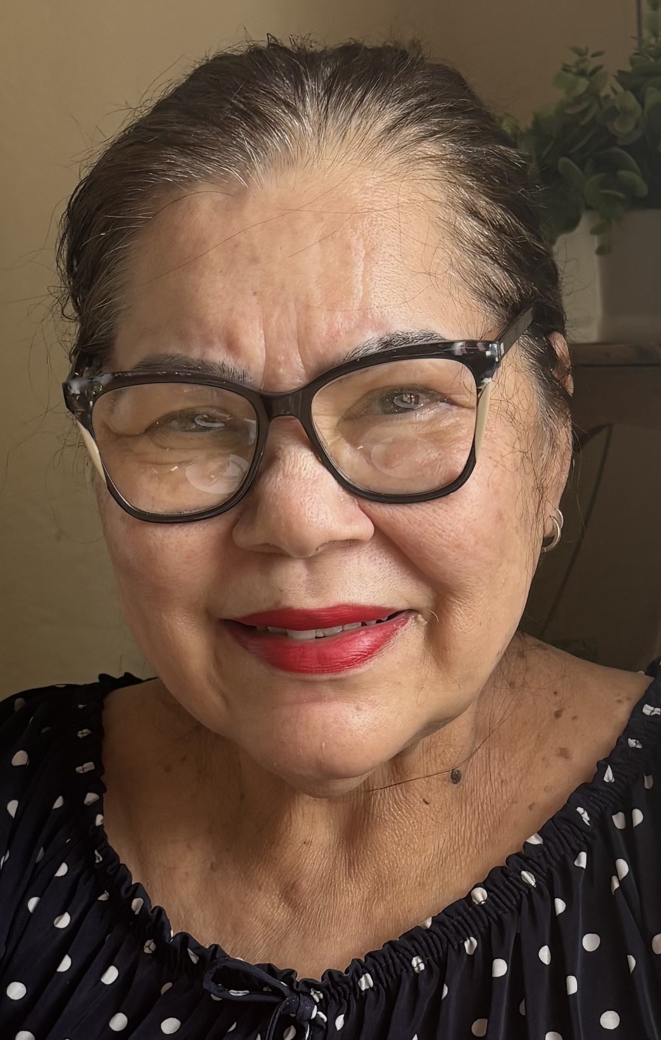 MARIA NICE PEREIRA VEZANI