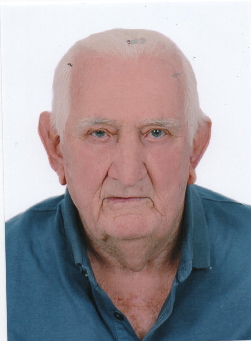 DANIEL ARMELIN