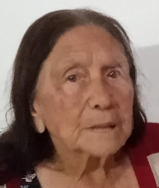 ISALINA NUNES DE ALMEIDA
