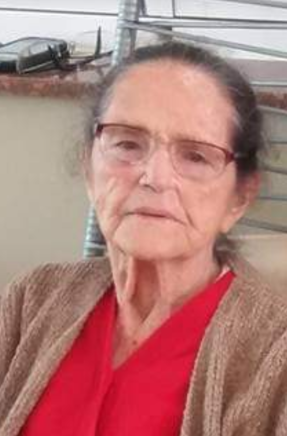APARECIDA BRENA LEITE DE CAMARGO
