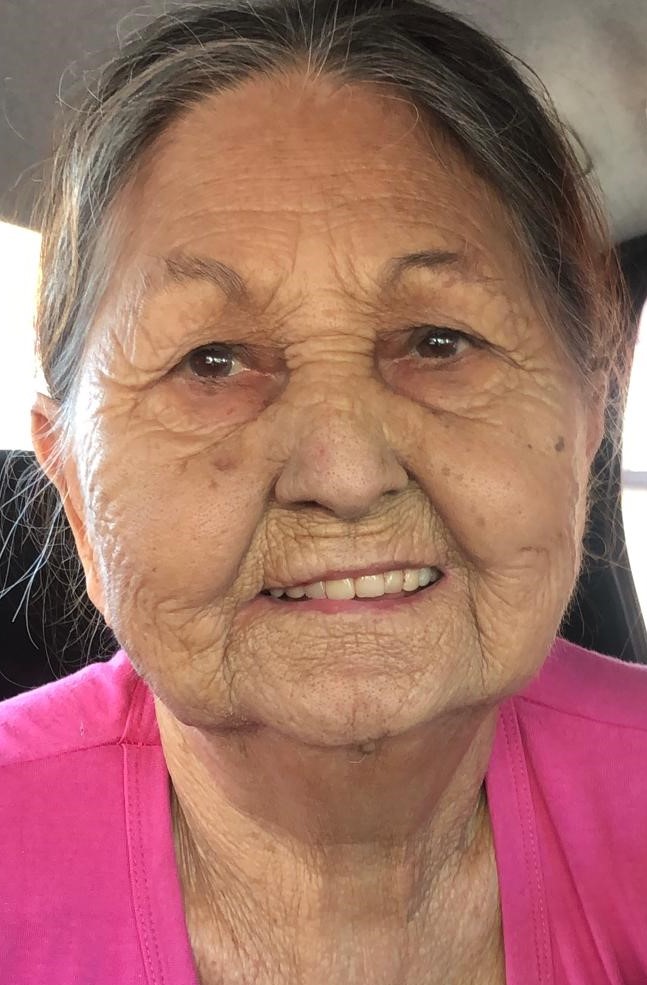 MARIA APARECIDA VOLTAN MARIANO